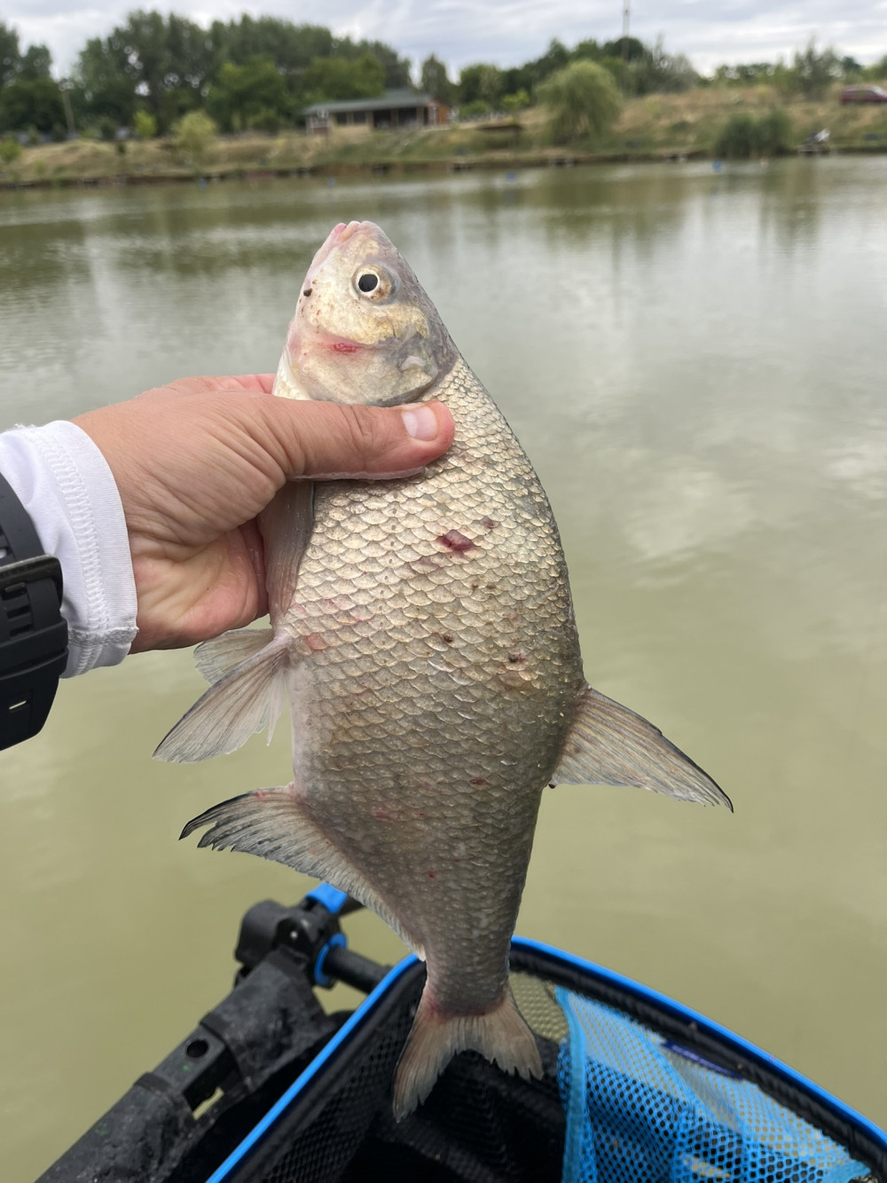 Promix Feeder Slow Sinking Start Mix 6mm
