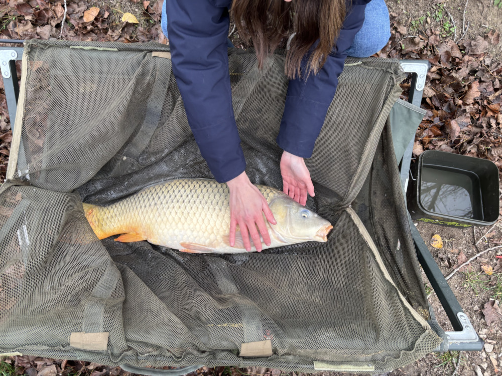 Promix Full Carb Pellet Ice Carp
